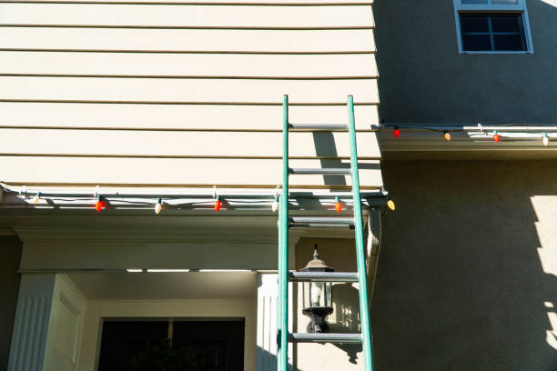 Best Storm Damage Siding Repair  in Ionia, MI