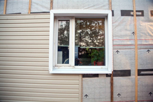 Best Vinyl Siding Installation  in Ionia, MI