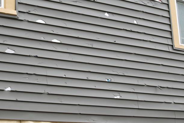 Best Siding Painting and Refinishing  in Ionia, MI