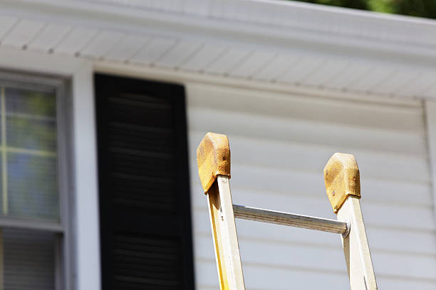 Affordable Siding Repair and Maintenance Services in Ionia, MI